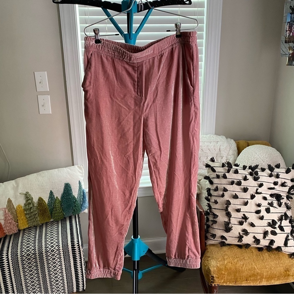 NWT Marella velour jogger pants size 12